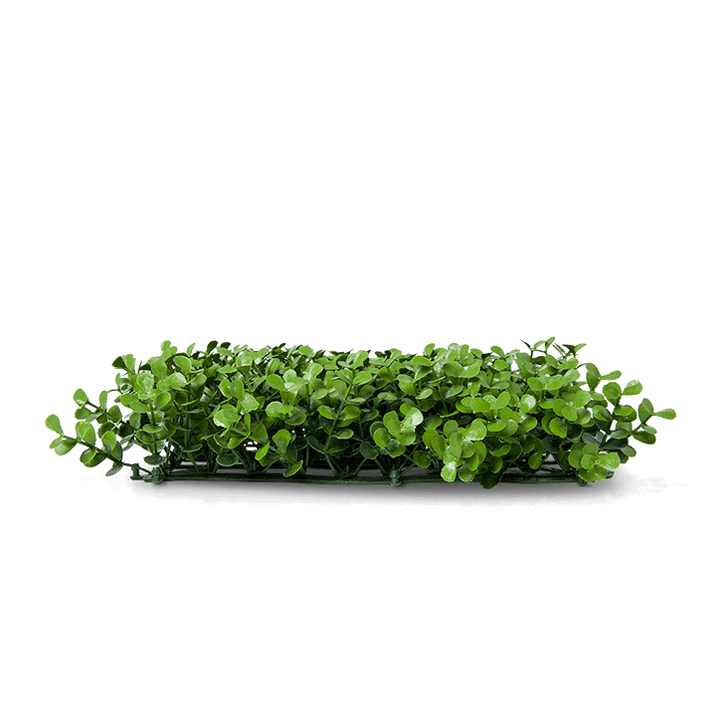 Boxwood Eden Artificial Hedge side view