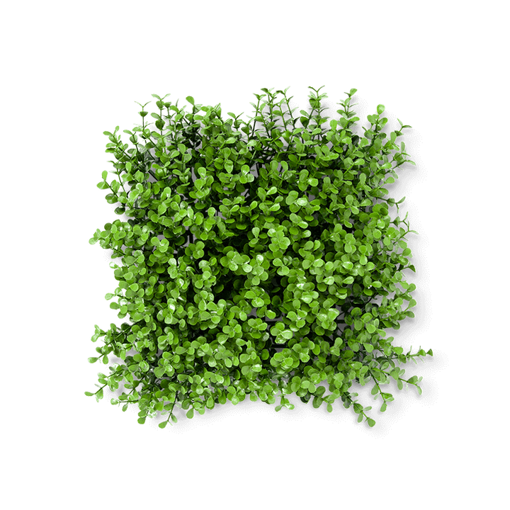 Boxwood Eden Artificial Hedge