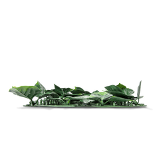 Load image into Gallery viewer, Two-toned Heart Leaf Artificial Hedge top-view