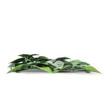 Load image into Gallery viewer, Liberty Holly Artificial Hedge side-view