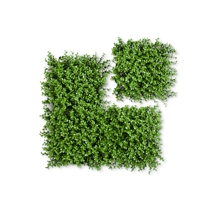 Boxwood Eden Artificial Hedge Panels