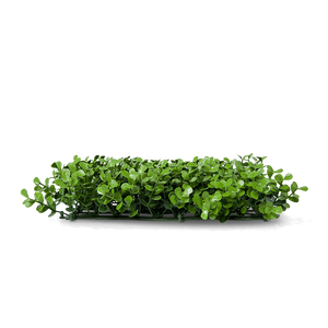 Boxwood Eden Artificial Hedge side view