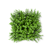 Load image into Gallery viewer, Boxwood Eden Artificial Hedge