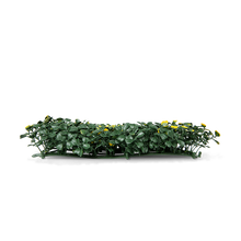 Load image into Gallery viewer, Boxwood Milan Artificial Hedge side-view